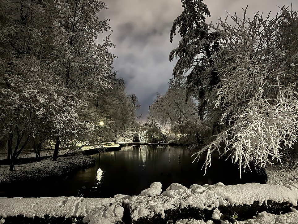 Magische Winterabende im Kasinopark